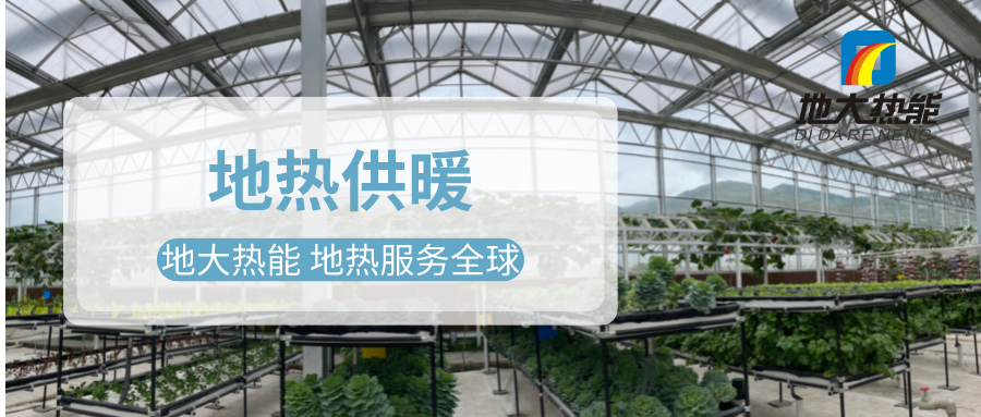 發(fā)揮地熱資源優(yōu)勢，地熱農(nóng)業(yè)實現(xiàn)花卉產(chǎn)業(yè)特色發(fā)展 | 地大熱能 地熱服務全球